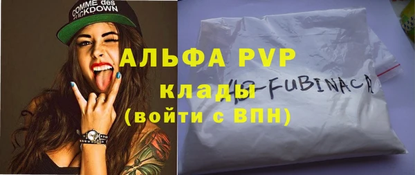 мет Алексин