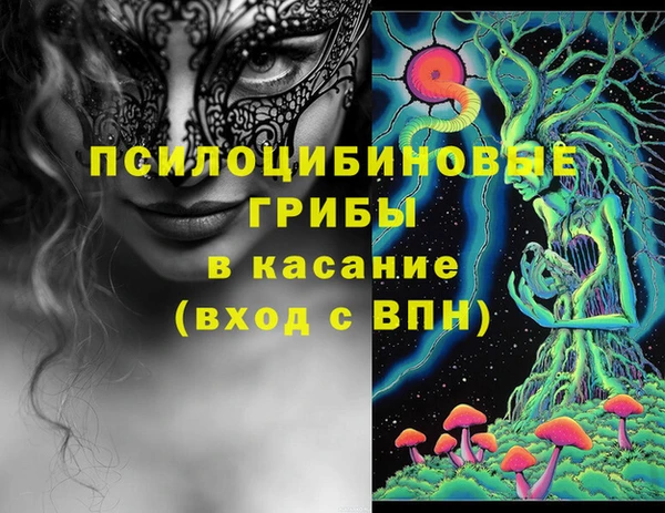 мет Алексин