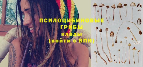 соль ск Абаза