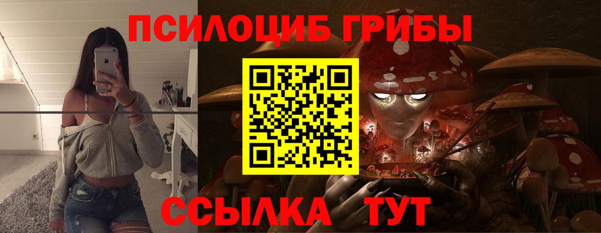 Псилоцибиновые грибы GOLDEN TEACHER Миллерово