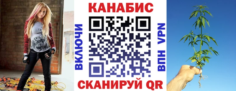 где купить   Миллерово  Канабис сатива 